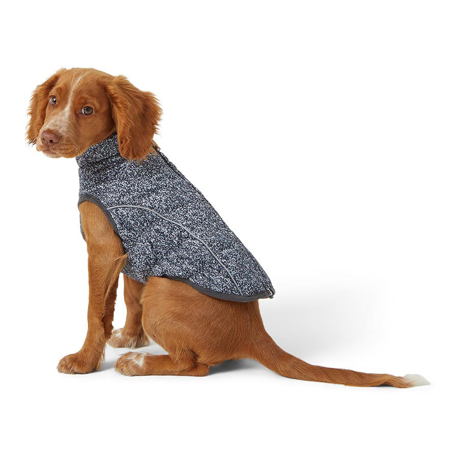 Dog wearing insulated bomber-style coat