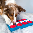 Dog exploring the matching blue-and-red treat puzzle