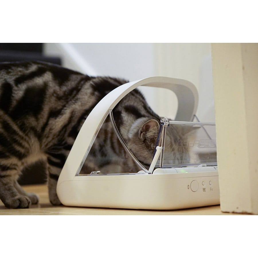 SureFeed - Microchip Recognition Pet Food Feeder - White - product gallery photograph 6