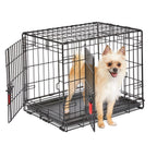 KONG - Foldable Two-Door Dog Crate - Small - product gallery photograph 2