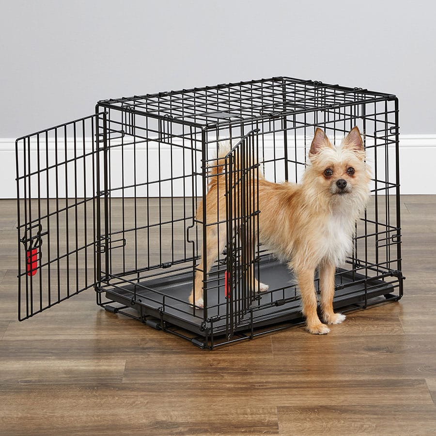 KONG - Foldable Two-Door Dog Crate - Small - product gallery photograph 4