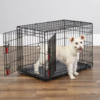KONG - Foldable Two-Door Dog Crate - Medium - product gallery photograph 4