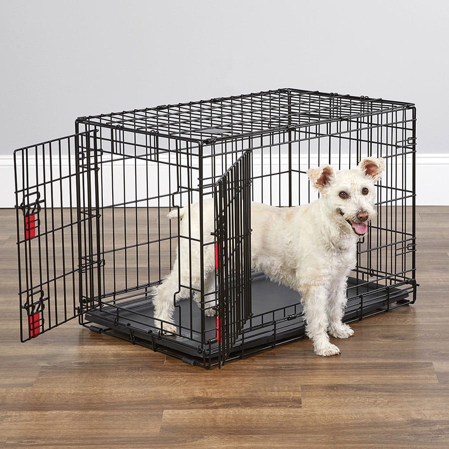 KONG - Foldable Two-Door Dog Crate - Medium - product gallery photograph 4