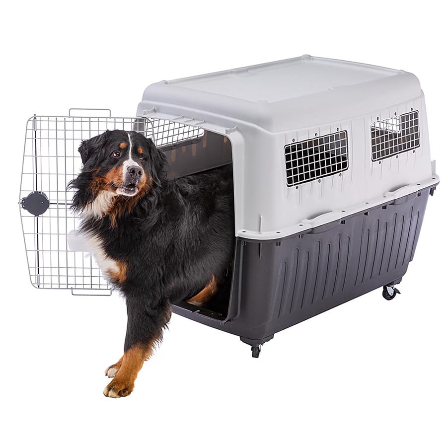 Ferplast - Professional Ventilated Pet Travel Carrier - Large - product gallery photograph 4