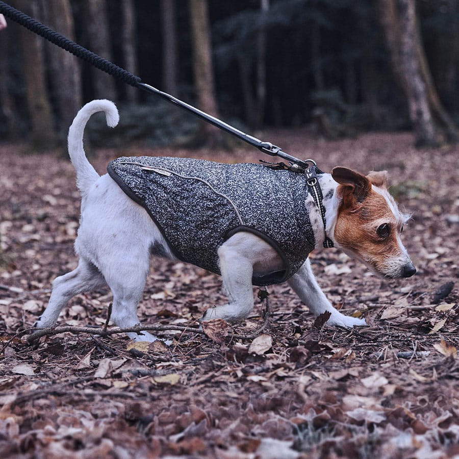 3 Peaks Insulated Bomber Dog Coat - Black Marl - additional product photo 4