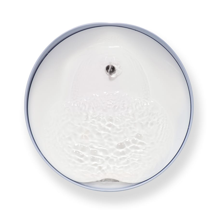 Catit - Filtered Cat Drinking Fountain - Blue, 2.5L - product gallery photograph 7