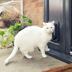 SureFlap Microchip Cat Flap - Grey - additional product photo 10