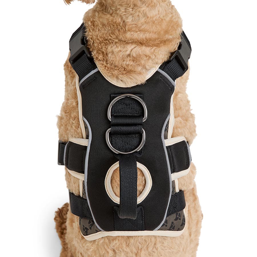 3 Peaks - Ultra-Fit Reflective Walking Harness - Black - product gallery photograph 2