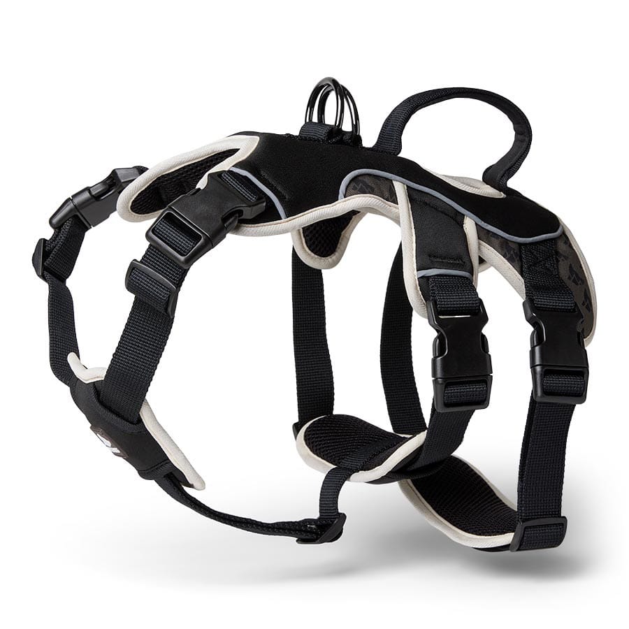 3 Peaks - Ultra-Fit Reflective Walking Harness - Black - product gallery photograph 3