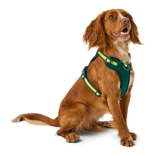 3 Peaks Adventure Dog Harness - Green - additional product photo 2