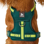 3 Peaks Adventure Dog Harness - Green - additional product photo 3