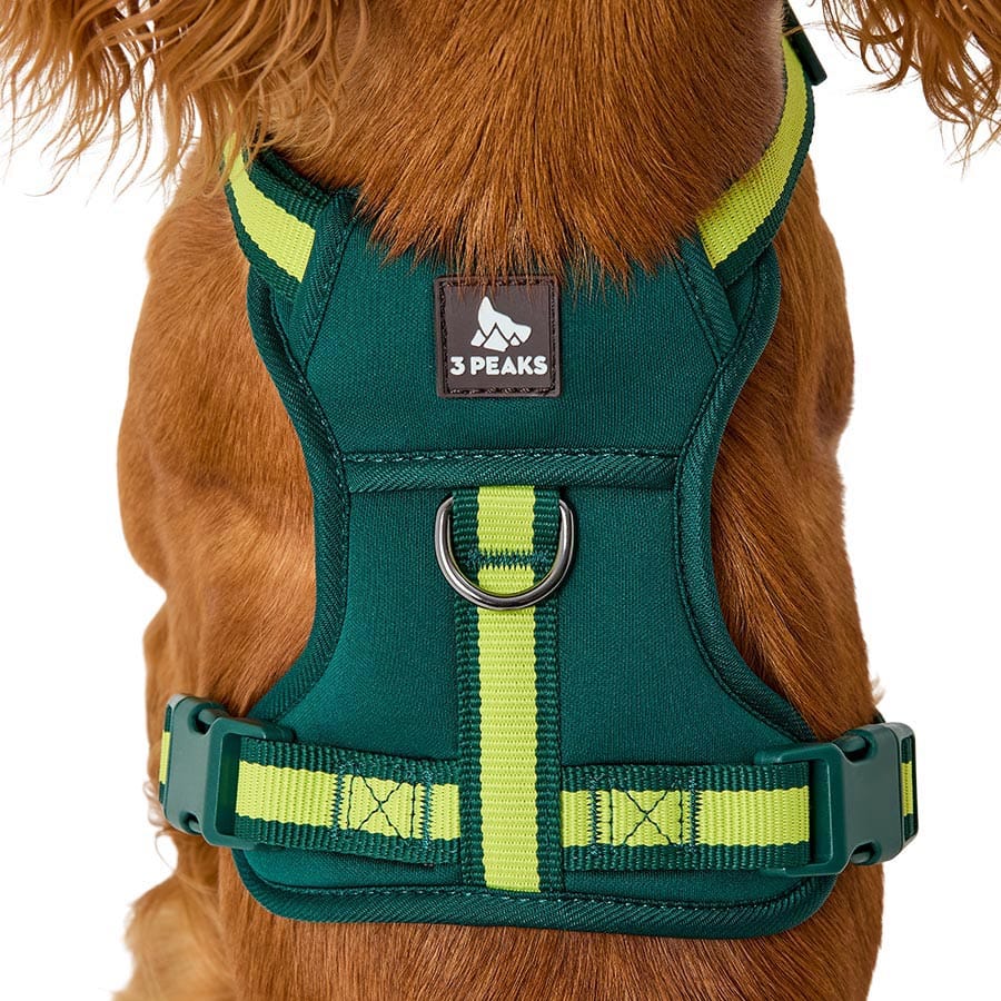 3 Peaks Adventure Dog Harness - Green - additional product photo 3
