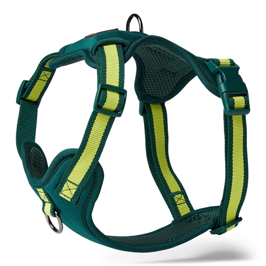3 Peaks Adventure Dog Harness - Green - additional product photo 4