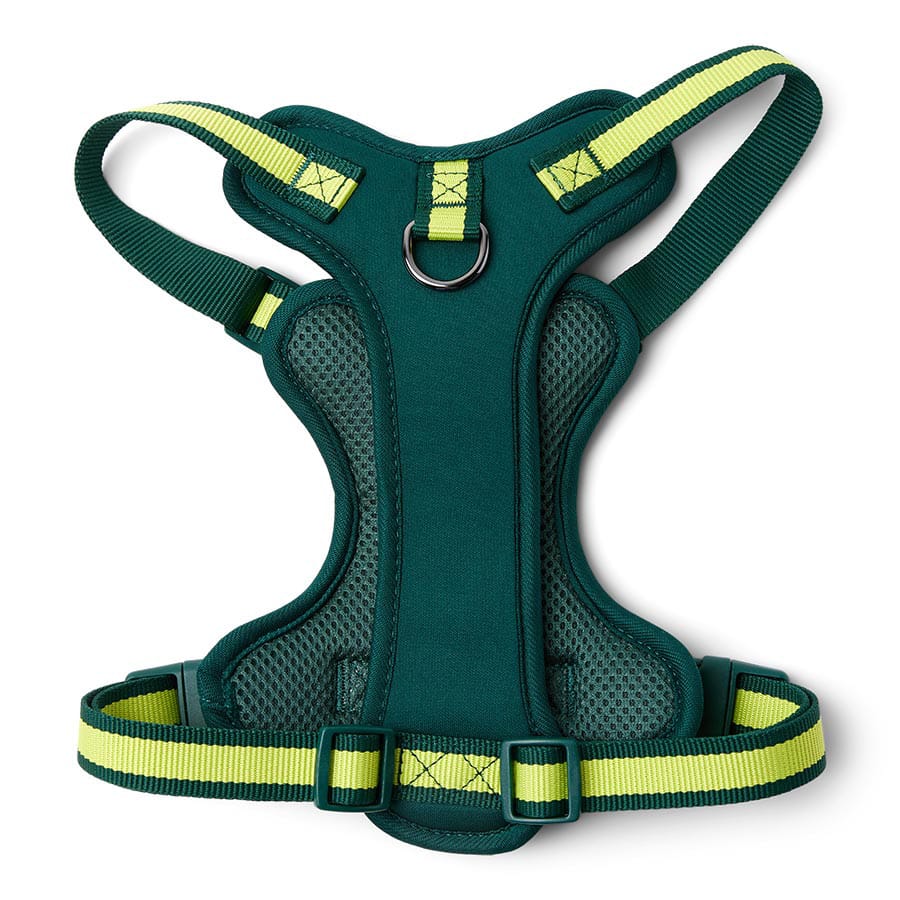 3 Peaks Adventure Dog Harness - Green - additional product photo 5