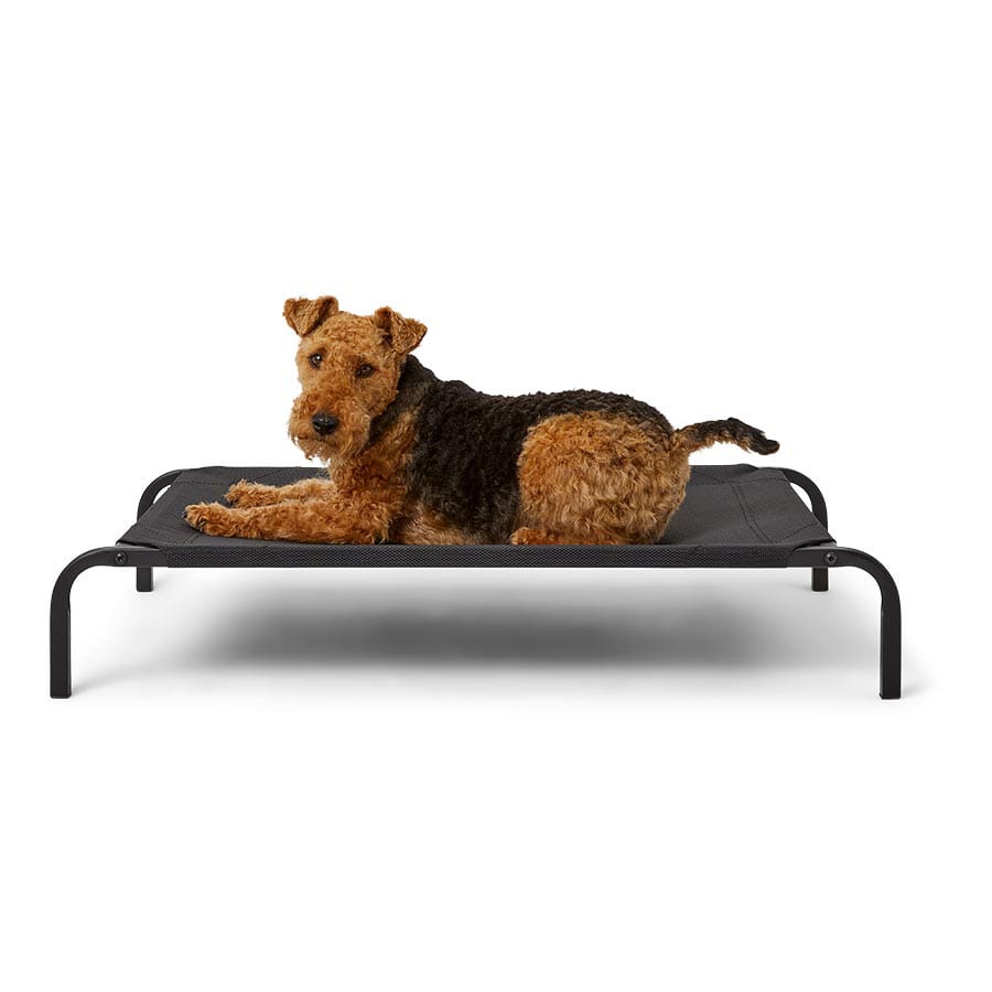 3 Peaks - Breathable Raised Dog Bed - Black - product gallery photograph 1