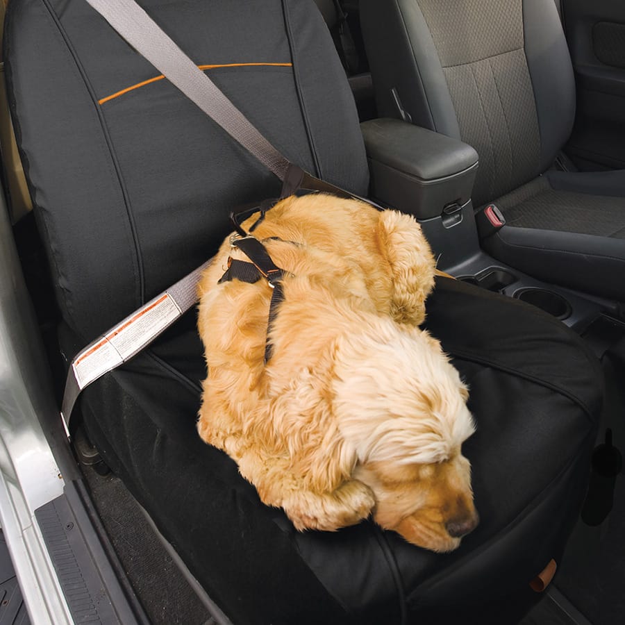 Kurgo - Protective Car Bucket Seat Cover - Black - product gallery photograph 4