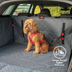 KONG - Vehicle Cargo Liner With Dog Tether - product gallery photograph 3