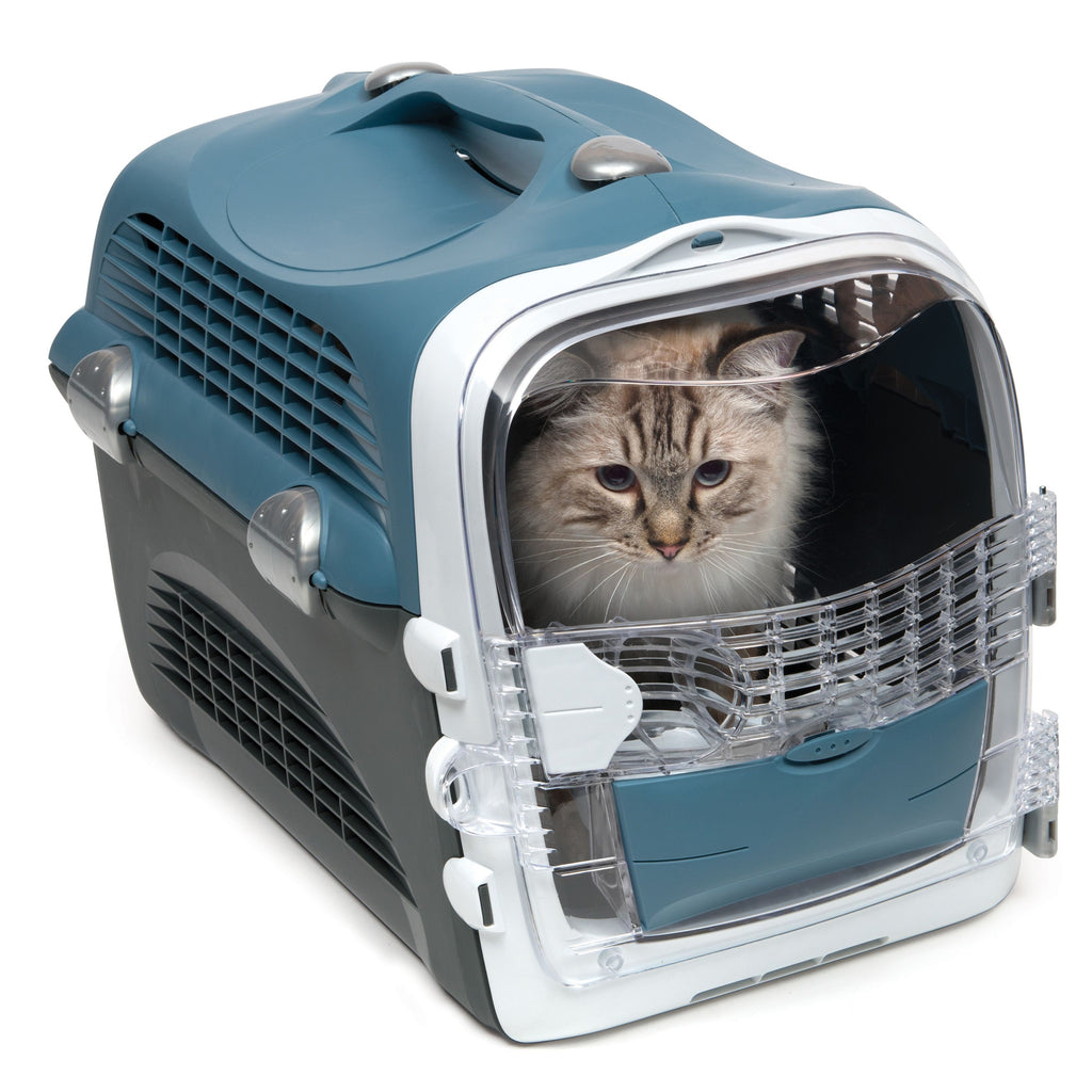 Cat inside the hard-sided carrier