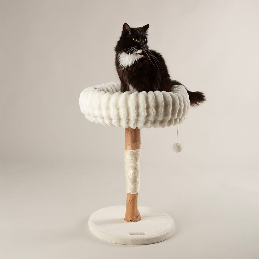 Scruffs - Natural Wood Cat Scratching Tree - Cream - product gallery photograph 2