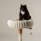 Scruffs - Natural Wood Cat Scratching Tree - Cream - product gallery photograph 3