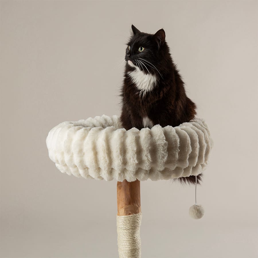 Scruffs - Natural Wood Cat Scratching Tree - Cream - product gallery photograph 3