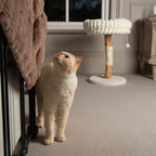 Scruffs - Natural Wood Cat Scratching Tree - Cream - product gallery photograph 8