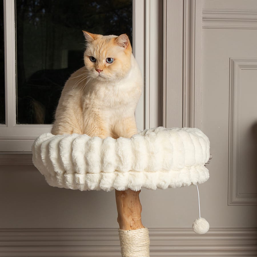 Scruffs - Natural Wood Cat Scratching Tree - Cream - product gallery photograph 9
