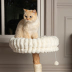 Scruffs - Natural Wood Cat Scratching Tree - Cream - product gallery photograph 9