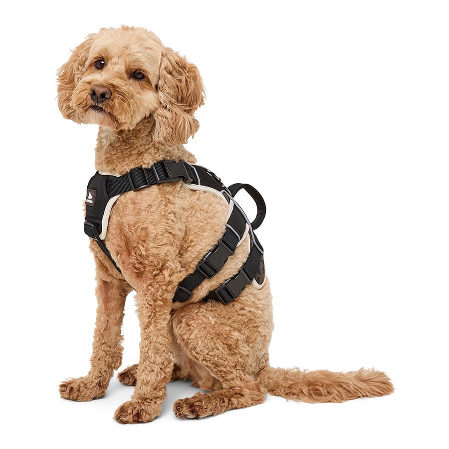 3 Peaks - Ultra-Fit Reflective Walking Harness - Black - product gallery photograph 1
