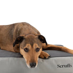 Scruffs Orthopaedic Dog Bed - Grey - additional product photo 2