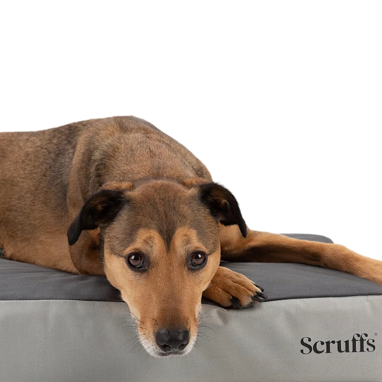 Scruffs Orthopaedic Dog Bed - Grey - additional product photo 2