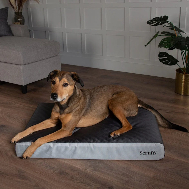 Scruffs Orthopaedic Dog Bed - Grey - additional product photo 3