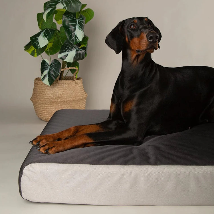 Scruffs Orthopaedic Dog Bed - Grey - additional product photo 4