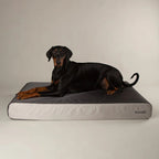 Scruffs Orthopaedic Dog Bed - Grey - additional product photo 5